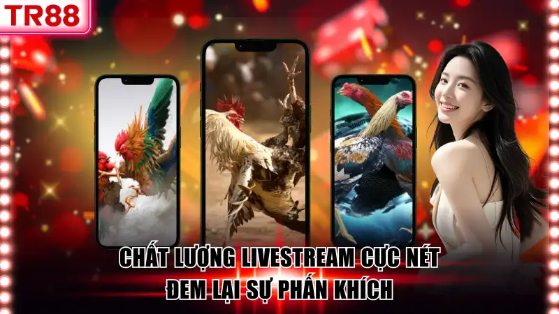Đá Gà Cựa Sắt TR88 - Thế Giới Cá Cược Kịch Tính Cuốn Hút