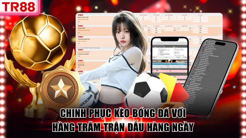 BTi Sports TR88 – Sân Cá Cược Thể Thao Đỉnh Cao Châu Á