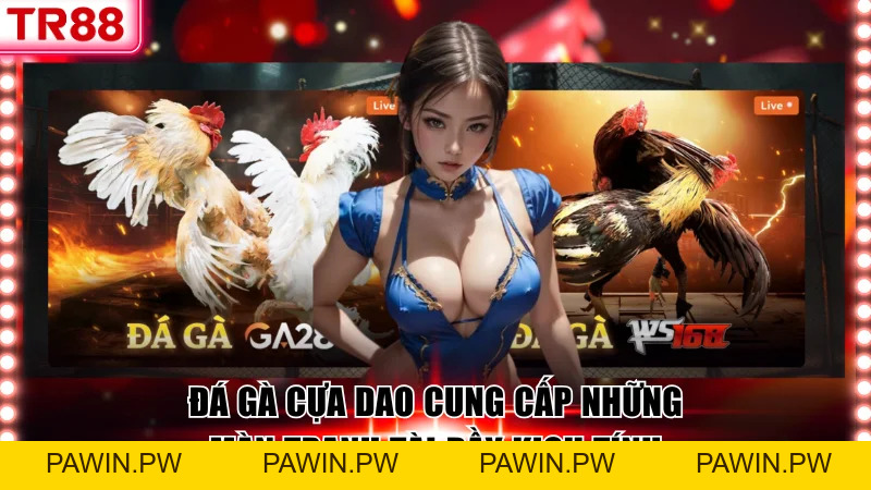 Đá Gà Cựa Dao Cung Cấp Những Màn Tranh Tài Đầy Kịch Tính