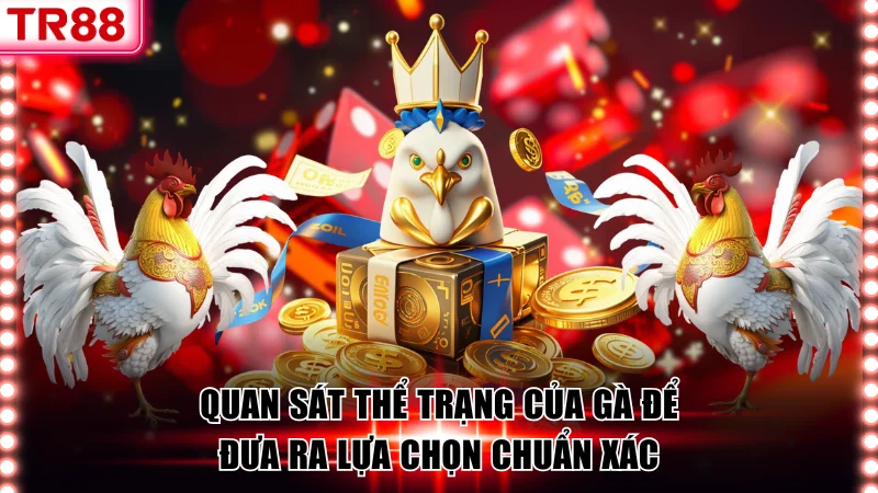 Đá Gà Cựa Dao Cung Cấp Những Màn Tranh Tài Đầy Kịch Tính