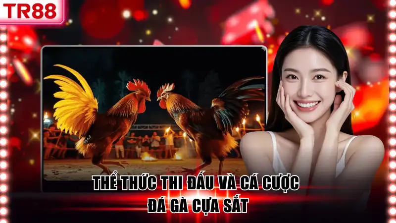 Đá Gà Cựa Sắt TR88 - Thế Giới Cá Cược Kịch Tính Cuốn Hút