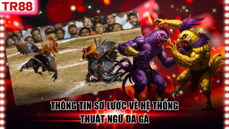 Tổng Hợp Thuật Ngữ Đá Gà Thường Gặp Trong Mọi Trận Đấu