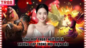 Sân Chơi Đá Gà TR88 Hàng Đầu, Đa Dạng Hình Thức Thi Đấu