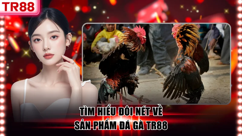 Sân Chơi Đá Gà TR88 Hàng Đầu, Đa Dạng Hình Thức Thi Đấu