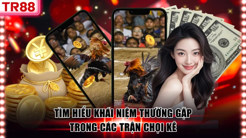 Tổng Hợp Thuật Ngữ Đá Gà Thường Gặp Trong Mọi Trận Đấu