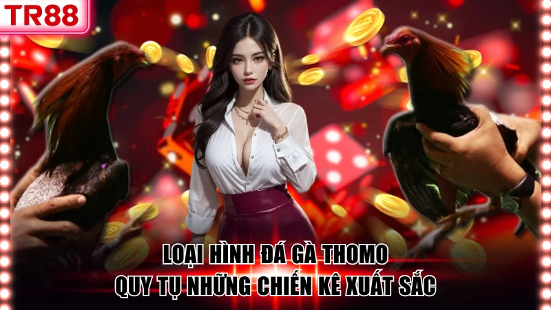 Sân Chơi Đá Gà TR88 Hàng Đầu, Đa Dạng Hình Thức Thi Đấu