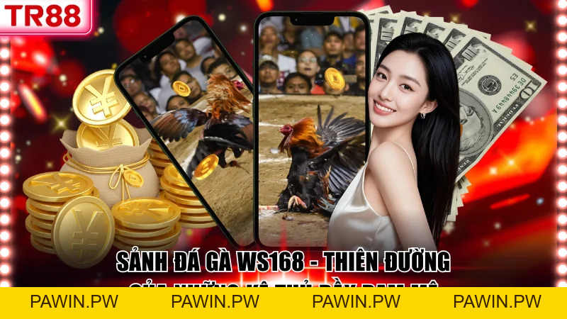 Sảnh Đá Gà WS168 Thiên Đường Của Những Kê Thủ Đam Mê